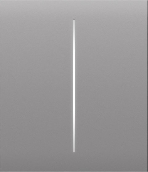 AJAX Button (fog) CenterButton (2-gang)