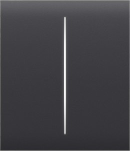 AJAX Button (graphite) CenterButton (2-gang)