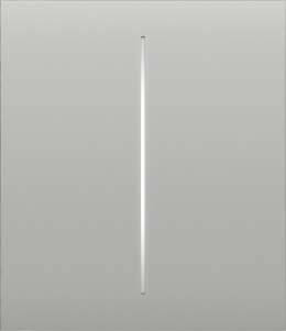 AJAX Button (white) CenterButton (2-gang)