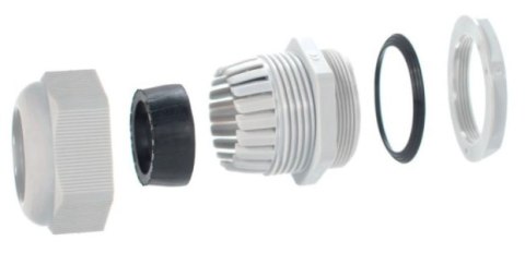 Dławnica kablowa z gwintem PG-21 jasnoszary (1szt.)