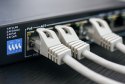 Kabel sieciowy KAT.6 UTP wewnętrzny 305m