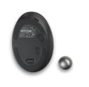 Trackball ProFit Ergo TB550