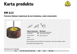 KLINGSPOR ŚCIERNICA LISTKOWA TRZPIENIOWA KM613 30mm x 20mm x 6mm gr. 60