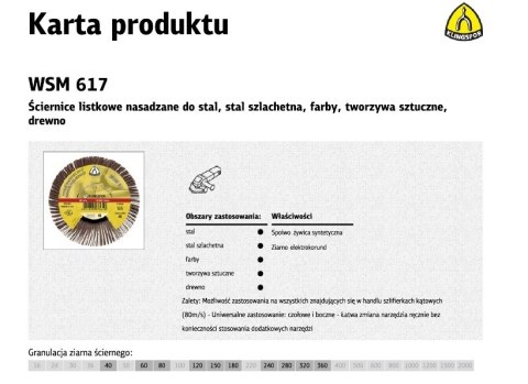 KLINGSPOR ŚCIERNICA LISTKOWA NASADZANA 125mm WSM617 gr. 60