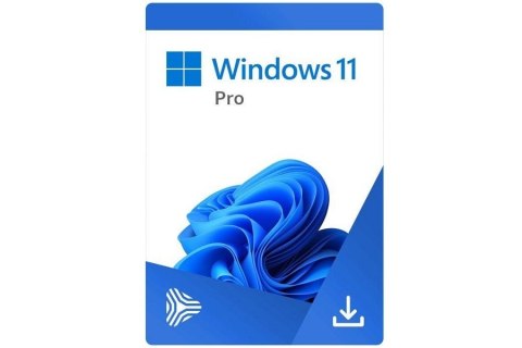 PROGRAM MICROSOFT WINDOWS 11 PRO 64B PL OEM