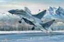 MIG-29UB Fulcrum