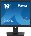 Monitor 19 cali B1980D-B5 DVI,VGA,PIVIOT,HAS/150mm,5:4