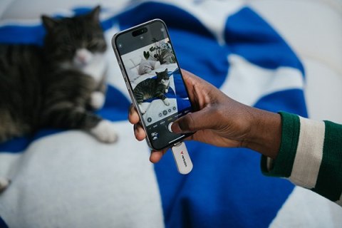 Verbatim USB flash disk, USB C, 256GB, Plectra, biały, 30230, USB C