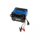 PROSTOWNIK 12/24V 25-180AH
