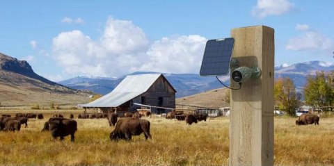 Kamera IP Reolink GO Series G330 4G LTE USB-C z akumulatorem camouflage