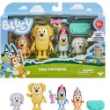 Zestaw figurek Bluey Przesyłka 4-pak