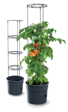 DONICZKA TOMATO GROWER - ANTRACYTOWY 12L