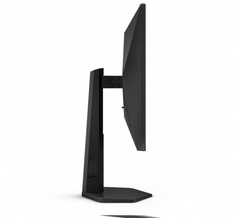 Monitor 25G4SXU 24.5 cala 300Hz Fast IPS HDMIx2 DP Pivot