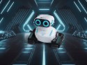 Robot zdalnie sterowany RC Robot Rob-E
