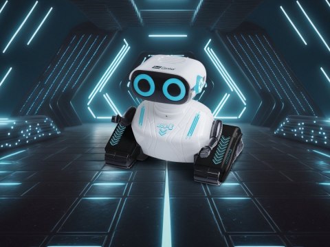 Robot zdalnie sterowany RC Robot Rob-E