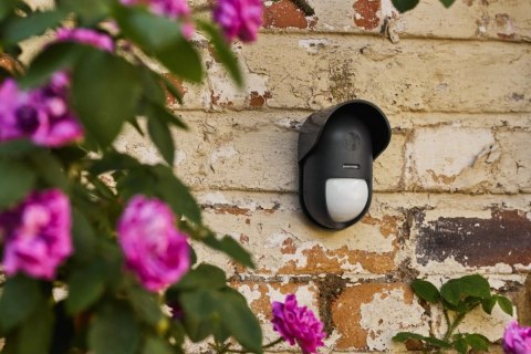 Zewnętrzny czujnik ruchu