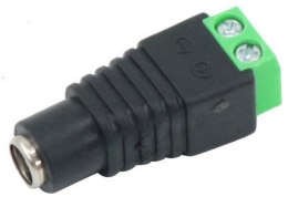 Gniazdo zasilające G01DC-100 1szt.