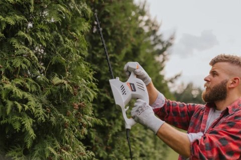 NOŻYCE DO ŻYWOPŁOTU 2000W, GHT41