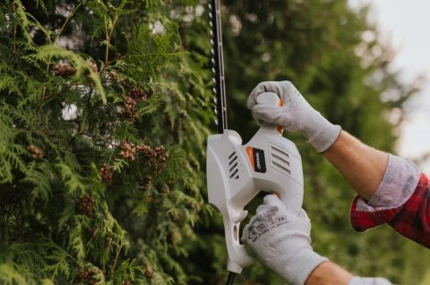 NOŻYCE DO ŻYWOPŁOTU 2000W, GHT41