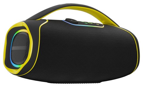 Defender głośnik BEATBOX 100, 100W, czarny, TWS,IPX5,AUX/Bluetooth