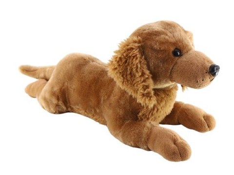 Maskotka Pies Golden leżący 60 cm