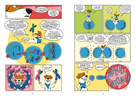 Książeczka Psy - od drapieżników do obrońców