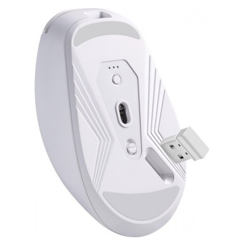 Mysz bezprzewodowa NITTA MM-307 RF+BT 1600DPI 6P biała