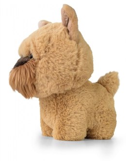 Maskotka TEDDY PETS Gryfonik brukselski