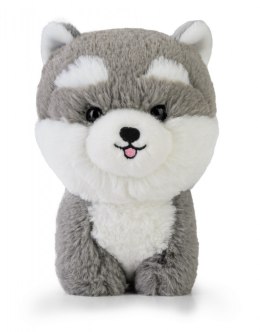 Maskotka TEDDY PETS Husky