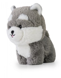 Maskotka TEDDY PETS Husky