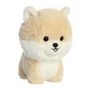 Maskotka TEDDY PETS Pomeranian