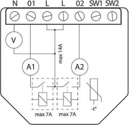 Shelly Qubino Wave 2PM