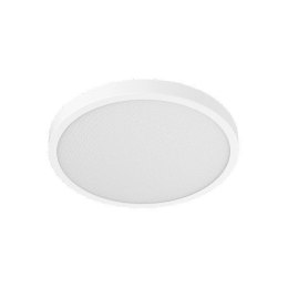 Lampa sufitowa Smart Ceiling Light D40