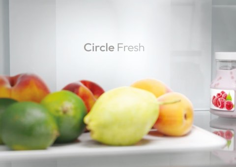 Chłodziarko-zamrażarka ECN2CQTEW186