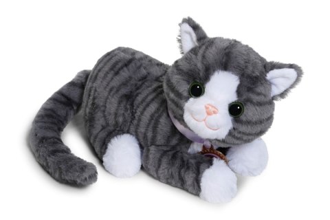 Maskotka interaktywna Baby Born Mój Kot Cookie z pudełkiem