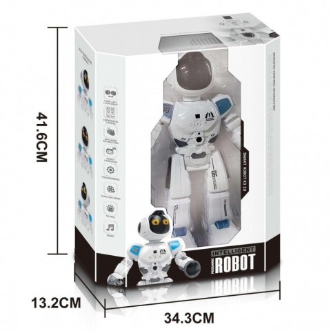 Robot R/C