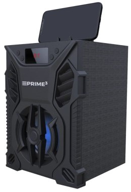 GŁOŚNIK PRZENOŚNY Z FUNKCJĄ KARAOKE VICE APS11