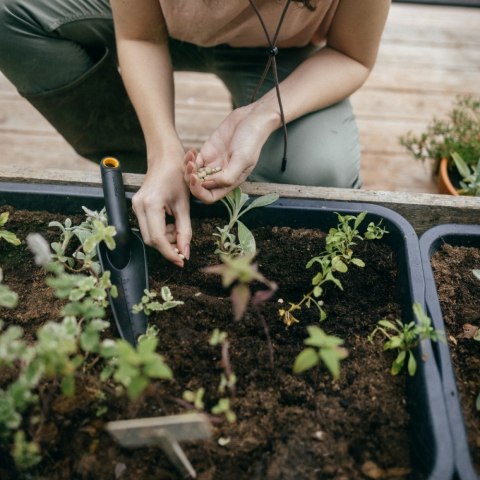 Łopatka wąska Solid 1072101