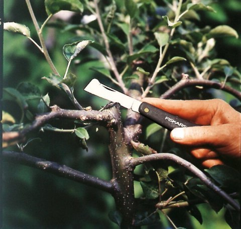 Okulizak K60 1001625